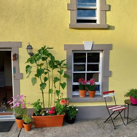 Felicity Cottage Kiltegan Buitenkant foto