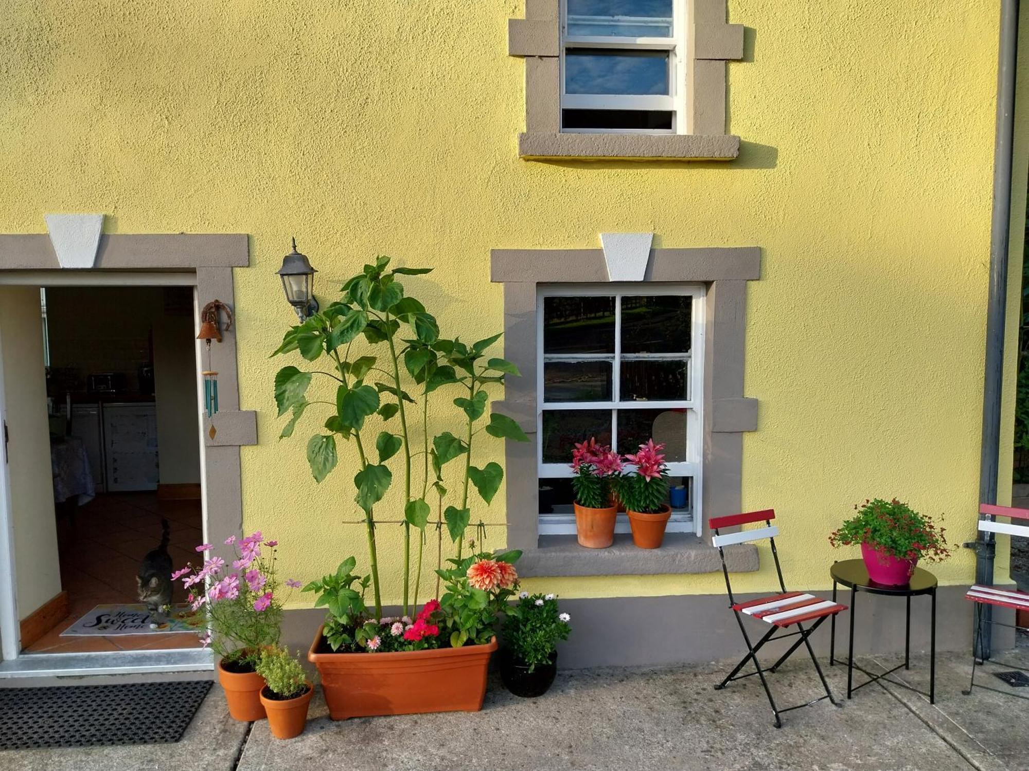 Felicity Cottage Kiltegan Buitenkant foto